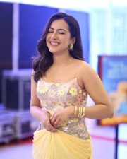Actress Catherine Tresa at Phani Movie Press Meet Photos 38