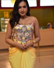 Actress Catherine Tresa at Phani Movie Press Meet Photos 50