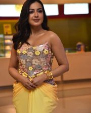 Actress Catherine Tresa at Phani Movie Press Meet Photos 52