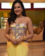 Actress Catherine Tresa at Phani Movie Press Meet Photos 55
