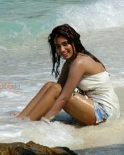 Actress Dimple Chopade Bikini Photos