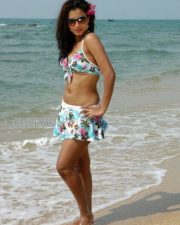 Actress Dimple Chopade Bikini Photos