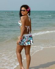Actress Dimple Chopade Bikini Photos