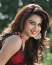 Actress Dimple Chopade Hot Photos