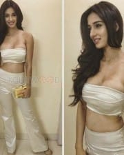 Actress Disha Patani Hot Spicy Photos