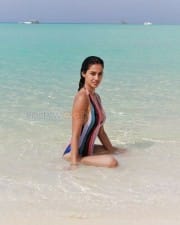 Actress Disha Patani Hot Spicy Photos