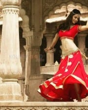 Actress Disha Patani Hot Spicy Photos