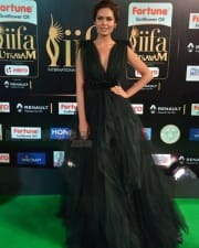 Actress Esha Gupta At Iifa Utsavam  Pictures