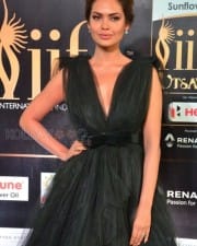Actress Esha Gupta At Iifa Utsavam  Pictures
