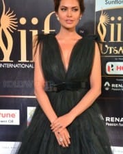 Actress Esha Gupta At Iifa Utsavam  Pictures