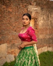 Actress Esther Anil Sexy Traditional Photoshoot Pictures 01