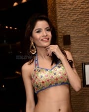 Actress Gehana Vasisth Sexy Event Photos