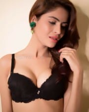 Actress Gehana Vasisth Sexy Lingerie Photoshoot Photos