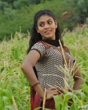 Actress Iniya In Ammavin Kaippesi Movie Stills