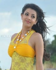 Actress Kajal Agarwal Hot Sexy Spicy Photos