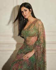 Actress Katrina Kaif in a Sexy Transparent Saree Photos 03