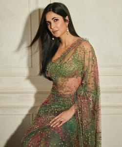 Actress Katrina Kaif in a Sexy Transparent Saree Photos 03