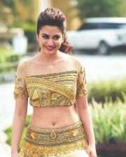 Actress Kriti Kharbanda Sexy Photos
