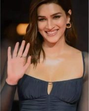 Actress Kriti Sanon in a Classic Fashionable Figure Hugging Dress Photos 03