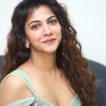 Actress Madonna Sebastian at Shyam Singha Roy Pre Release Event Pictures 20 Actress Madonna Sebastian at Shyam Singha Roy Pre Release Event Pictures 20