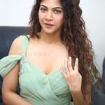 Actress Madonna Sebastian at Shyam Singha Roy Pre Release Event Pictures 35 Actress Madonna Sebastian at Shyam Singha Roy Pre Release Event Pictures 35