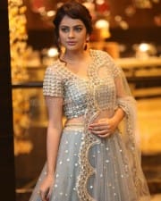 Actress Nandita Swetha At Srinivasa Kalyanam Success Meet Photos