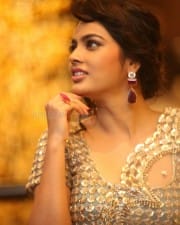 Actress Nandita Swetha At Srinivasa Kalyanam Success Meet Photos