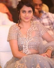 Actress Nandita Swetha At Srinivasa Kalyanam Success Meet Photos