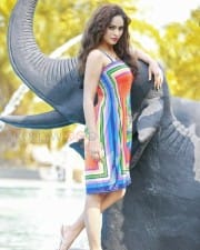 Actress Nandita Swetha Beautiful Photos