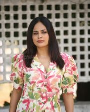 Actress Nandita Swetha Glam Pictures