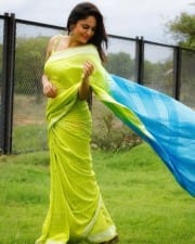 Actress Nandita Swetha Green Saree Photos