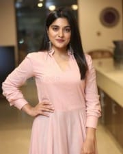 Actress Nivetha Thomas At Brochevarevarura Success Meet Pictures
