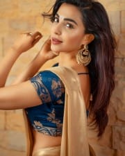 Actress Parvati Nair Spicy Saree Pictures 05