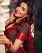Actress Parvati Nair Spicy Saree Pictures 12