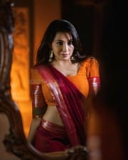Actress Parvati Nair Spicy Saree Pictures 17
