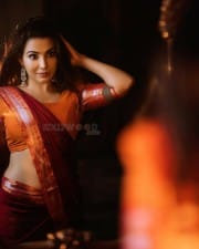 Actress Parvati Nair Spicy Saree Pictures 19