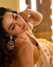 Actress Parvati Nair in a Seductive Saree Photoshoot Pictures 03