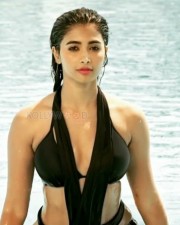 Actress Pooja Hedge Bikini Photos
