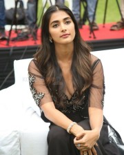 Actress Pooja Hegde At Valmiki Press Meet Photos