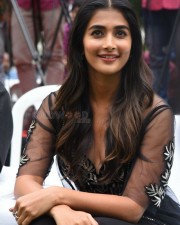Actress Pooja Hegde At Valmiki Press Meet Photos