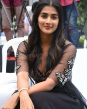Actress Pooja Hegde At Valmiki Press Meet Photos