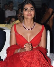 Actress Pooja Hegde Hot Cleavage At Maharshi Success Meet Photos