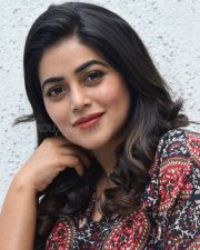 Actress Poorna at Aha Manchi Rojulochaie And 3 Roses Success Meet Photos 22