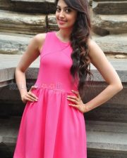 Actress Pranitha New Photoshoot Stills