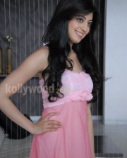 Actress Pranitha Sexy Pink Skirt Photos