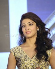 Actress Pranitha Subhash At Hello Guru Prema Kosame Success Meet Photos