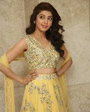 Actress Pranitha Subhash At Hello Guru Prema Kosame Success Meet Photos