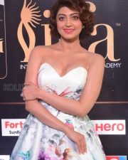 Actress Pranitha Subhash At Iifa Utsavam Awards Photos