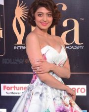 Actress Pranitha Subhash At Iifa Utsavam Awards Photos