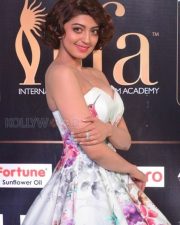 Actress Pranitha Subhash At Iifa Utsavam Awards Photos